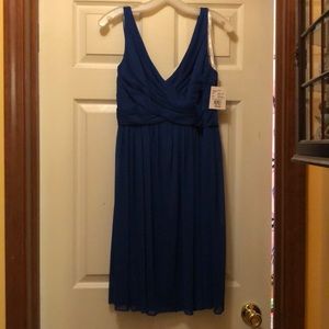 David’s Bridal Bridesmaid Dress